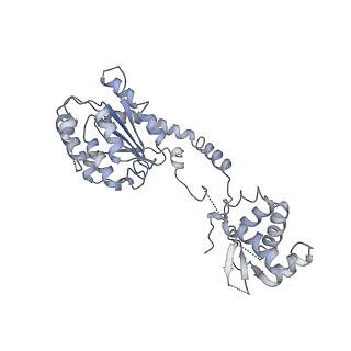 21662_6wgc_B_v1-4
Atomic model of semi-attached mutant OCCM-DNA complex (ORC-Cdc6-Cdt1-Mcm2-7 with Mcm6 WHD truncation)