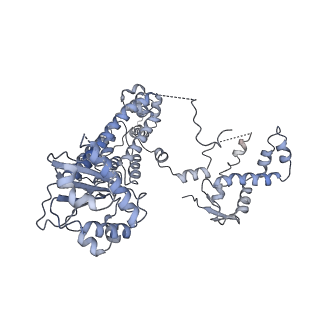 21662_6wgc_C_v1-4
Atomic model of semi-attached mutant OCCM-DNA complex (ORC-Cdc6-Cdt1-Mcm2-7 with Mcm6 WHD truncation)