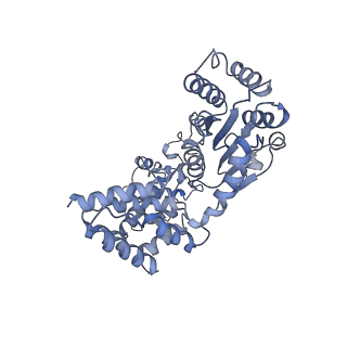 21662_6wgc_D_v1-4
Atomic model of semi-attached mutant OCCM-DNA complex (ORC-Cdc6-Cdt1-Mcm2-7 with Mcm6 WHD truncation)