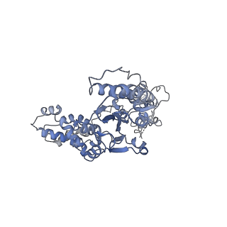 21662_6wgc_E_v1-4
Atomic model of semi-attached mutant OCCM-DNA complex (ORC-Cdc6-Cdt1-Mcm2-7 with Mcm6 WHD truncation)