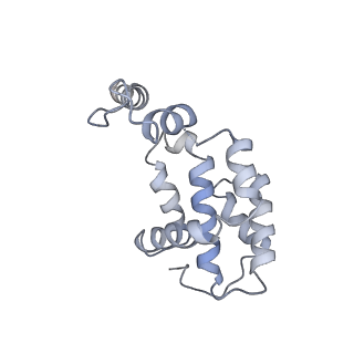 21662_6wgc_F_v1-4
Atomic model of semi-attached mutant OCCM-DNA complex (ORC-Cdc6-Cdt1-Mcm2-7 with Mcm6 WHD truncation)