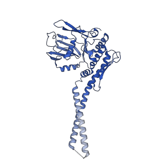 21663_6wge_A_v1-2
Cryo-EM structure of human Cohesin-NIPBL-DNA complex without STAG1