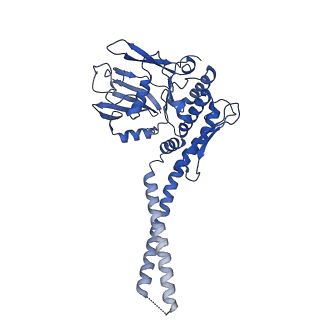 21663_6wge_A_v1-3
Cryo-EM structure of human Cohesin-NIPBL-DNA complex without STAG1