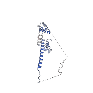 21663_6wge_C_v1-3
Cryo-EM structure of human Cohesin-NIPBL-DNA complex without STAG1