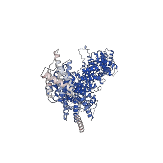 21663_6wge_E_v1-2
Cryo-EM structure of human Cohesin-NIPBL-DNA complex without STAG1