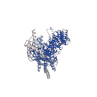 21663_6wge_E_v1-3
Cryo-EM structure of human Cohesin-NIPBL-DNA complex without STAG1