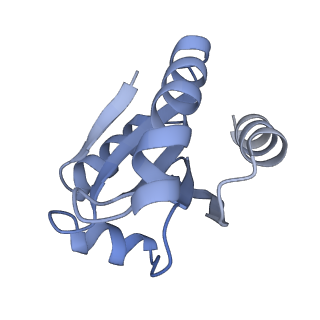 32484_7wge_B_v1-3
Human NLRP1 complexed with thioredoxin