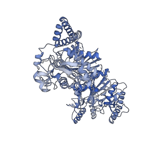 32485_7wgr_A_v1-0
Cryo-electron microscopic structure of the 2-oxoglutarate dehydrogenase (E1) component of the human alpha-ketoglutarate (2-oxoglutarate) dehydrogenase complex