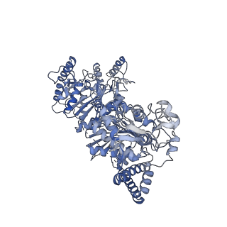 32485_7wgr_B_v1-0
Cryo-electron microscopic structure of the 2-oxoglutarate dehydrogenase (E1) component of the human alpha-ketoglutarate (2-oxoglutarate) dehydrogenase complex