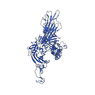 32490_7wgv_C_v1-0
SARS-CoV-2 spike glycoprotein trimer in closed state