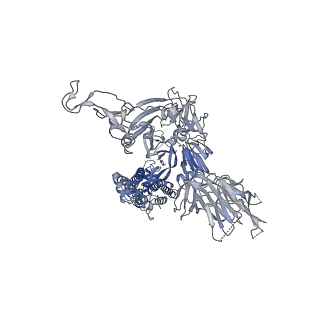 32492_7wgy_A_v1-0
SARS-CoV-2 spike glycoprotein trimer in Intermediate state