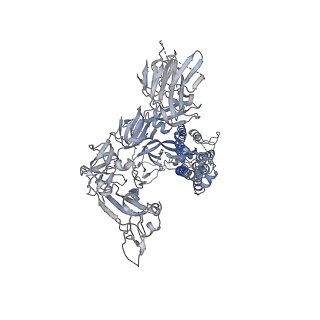 32493_7wgz_C_v1-0
SARS-CoV-2 spike glycoprotein trimer in open state
