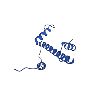 37503_8wg5_E_v1-0
Cryo-EM structure of USP16 bound to H2AK119Ub nucleosome