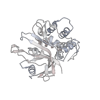 37503_8wg5_M_v1-0
Cryo-EM structure of USP16 bound to H2AK119Ub nucleosome