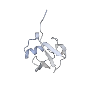 37503_8wg5_U_v1-0
Cryo-EM structure of USP16 bound to H2AK119Ub nucleosome