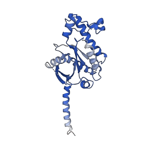 37504_8wg7_A_v1-0
Cryo-EM structures of peptide free and Gs-coupled GLP-1R