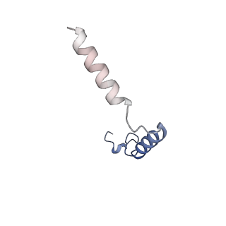 37504_8wg7_G_v1-0
Cryo-EM structures of peptide free and Gs-coupled GLP-1R