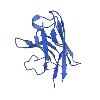 37504_8wg7_N_v1-0
Cryo-EM structures of peptide free and Gs-coupled GLP-1R