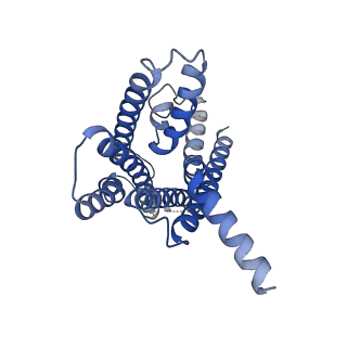 37504_8wg7_R_v1-0
Cryo-EM structures of peptide free and Gs-coupled GLP-1R
