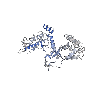 21517_6whi_A_v1-1
Cryo-electron microscopy structure of the type I-F CRISPR RNA-guided surveillance complex bound to the anti-CRISPR AcrIF9