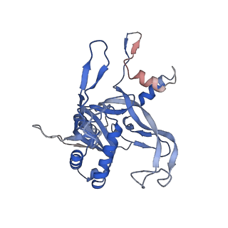 21517_6whi_B_v1-2
Cryo-electron microscopy structure of the type I-F CRISPR RNA-guided surveillance complex bound to the anti-CRISPR AcrIF9