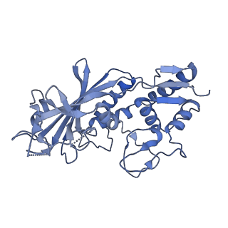 21517_6whi_C_v1-2
Cryo-electron microscopy structure of the type I-F CRISPR RNA-guided surveillance complex bound to the anti-CRISPR AcrIF9