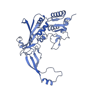 21517_6whi_D_v1-1
Cryo-electron microscopy structure of the type I-F CRISPR RNA-guided surveillance complex bound to the anti-CRISPR AcrIF9