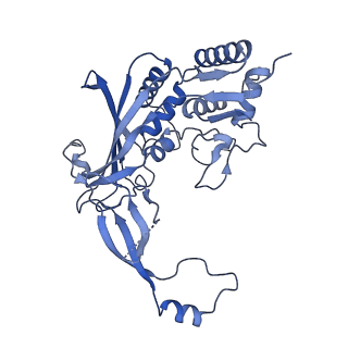 21517_6whi_D_v1-2
Cryo-electron microscopy structure of the type I-F CRISPR RNA-guided surveillance complex bound to the anti-CRISPR AcrIF9