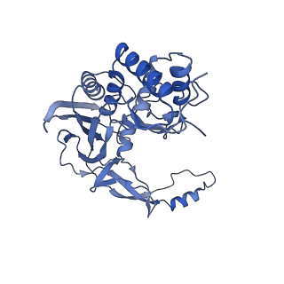 21517_6whi_E_v1-1
Cryo-electron microscopy structure of the type I-F CRISPR RNA-guided surveillance complex bound to the anti-CRISPR AcrIF9
