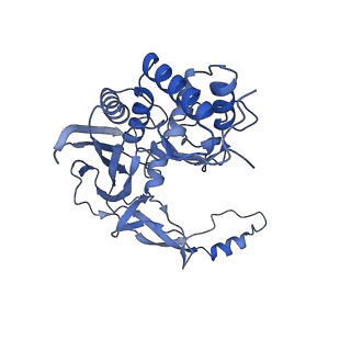 21517_6whi_E_v1-2
Cryo-electron microscopy structure of the type I-F CRISPR RNA-guided surveillance complex bound to the anti-CRISPR AcrIF9