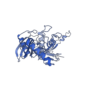 21517_6whi_F_v1-1
Cryo-electron microscopy structure of the type I-F CRISPR RNA-guided surveillance complex bound to the anti-CRISPR AcrIF9