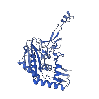 21517_6whi_G_v1-1
Cryo-electron microscopy structure of the type I-F CRISPR RNA-guided surveillance complex bound to the anti-CRISPR AcrIF9