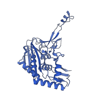 21517_6whi_G_v1-2
Cryo-electron microscopy structure of the type I-F CRISPR RNA-guided surveillance complex bound to the anti-CRISPR AcrIF9