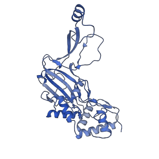 21517_6whi_H_v1-1
Cryo-electron microscopy structure of the type I-F CRISPR RNA-guided surveillance complex bound to the anti-CRISPR AcrIF9