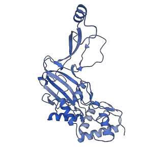 21517_6whi_H_v1-2
Cryo-electron microscopy structure of the type I-F CRISPR RNA-guided surveillance complex bound to the anti-CRISPR AcrIF9