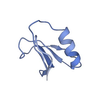 21517_6whi_I_v1-1
Cryo-electron microscopy structure of the type I-F CRISPR RNA-guided surveillance complex bound to the anti-CRISPR AcrIF9