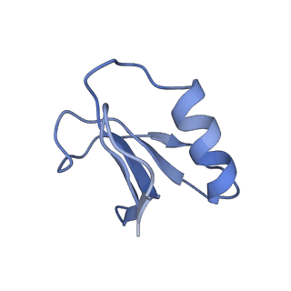 21517_6whi_I_v1-2
Cryo-electron microscopy structure of the type I-F CRISPR RNA-guided surveillance complex bound to the anti-CRISPR AcrIF9