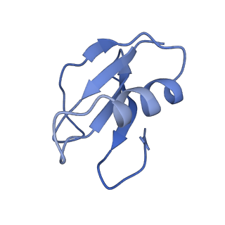 21517_6whi_J_v1-2
Cryo-electron microscopy structure of the type I-F CRISPR RNA-guided surveillance complex bound to the anti-CRISPR AcrIF9