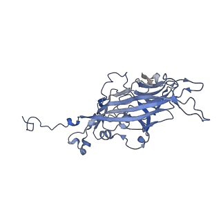 21667_6wh3_1_v1-4
Capsid structure of Penaeus monodon metallodensovirus at pH 8.2