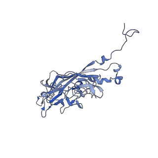 21667_6wh3_2_v1-3
Capsid structure of Penaeus monodon metallodensovirus at pH 8.2