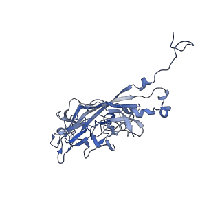 21667_6wh3_2_v1-4
Capsid structure of Penaeus monodon metallodensovirus at pH 8.2