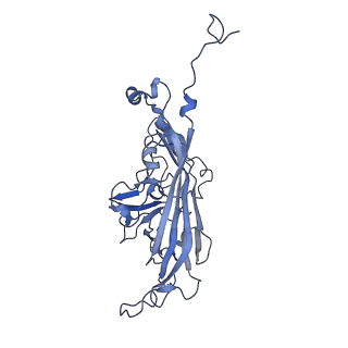 21667_6wh3_3_v1-3
Capsid structure of Penaeus monodon metallodensovirus at pH 8.2