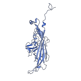 21667_6wh3_3_v1-4
Capsid structure of Penaeus monodon metallodensovirus at pH 8.2