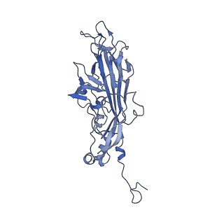 21667_6wh3_4_v1-3
Capsid structure of Penaeus monodon metallodensovirus at pH 8.2
