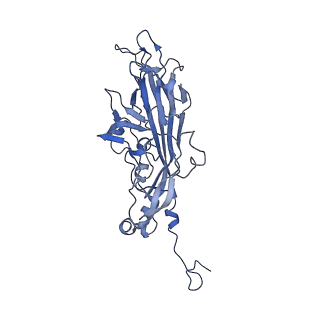 21667_6wh3_4_v1-4
Capsid structure of Penaeus monodon metallodensovirus at pH 8.2