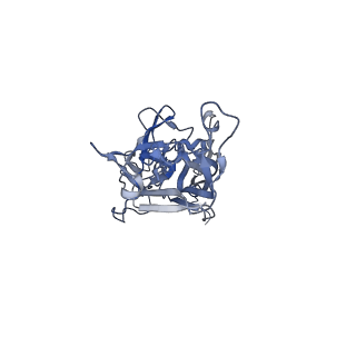 21667_6wh3_5_v1-3
Capsid structure of Penaeus monodon metallodensovirus at pH 8.2