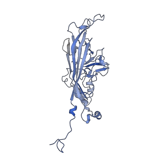 21667_6wh3_6_v1-3
Capsid structure of Penaeus monodon metallodensovirus at pH 8.2
