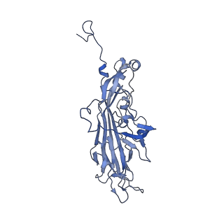 21667_6wh3_7_v1-3
Capsid structure of Penaeus monodon metallodensovirus at pH 8.2