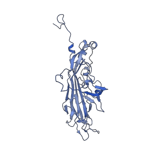 21667_6wh3_7_v1-4
Capsid structure of Penaeus monodon metallodensovirus at pH 8.2