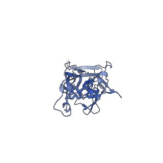 21667_6wh3_8_v1-3
Capsid structure of Penaeus monodon metallodensovirus at pH 8.2